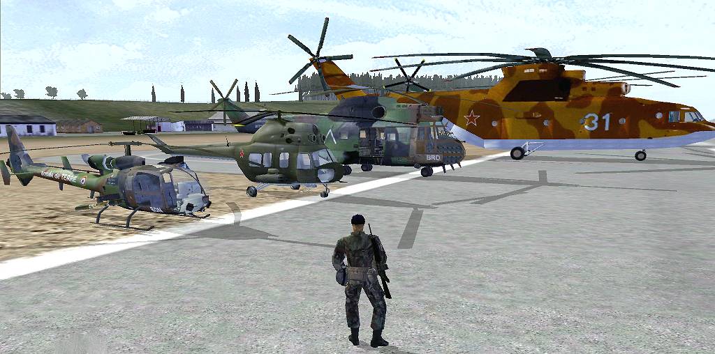 internationalhelos2.jpg